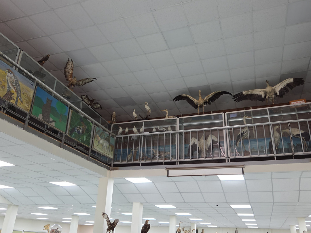 Jordanian Natural History Museum-Irbid必去景点
