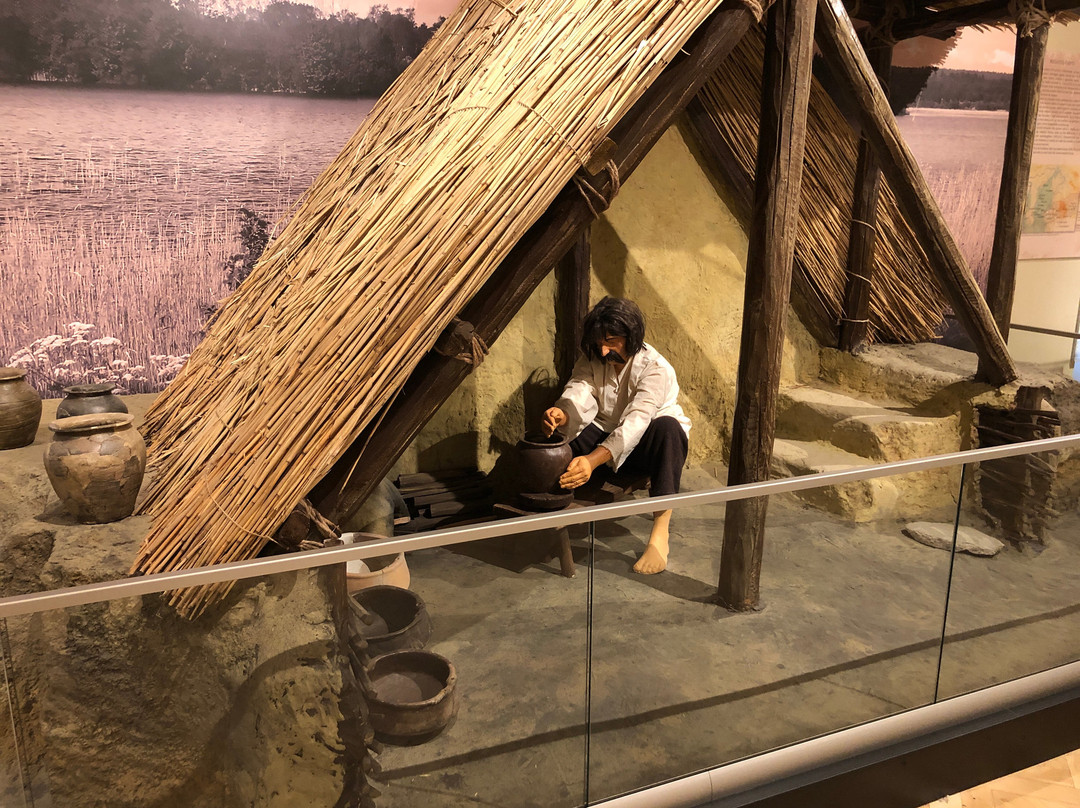 Complexul Muzeal Arad - Archaeology-History Section-阿拉德必去景点