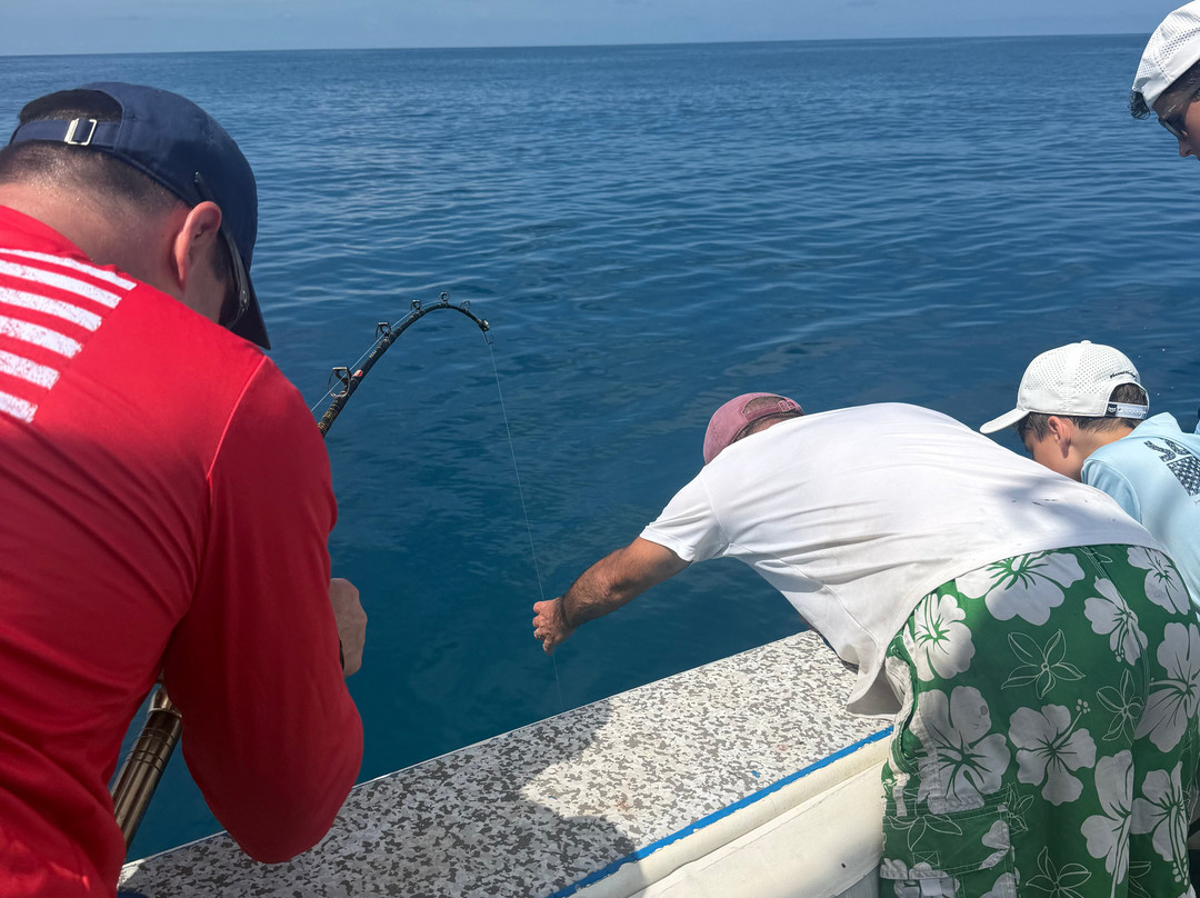 Paradise Fishing Charters-Cape Haze必去景点