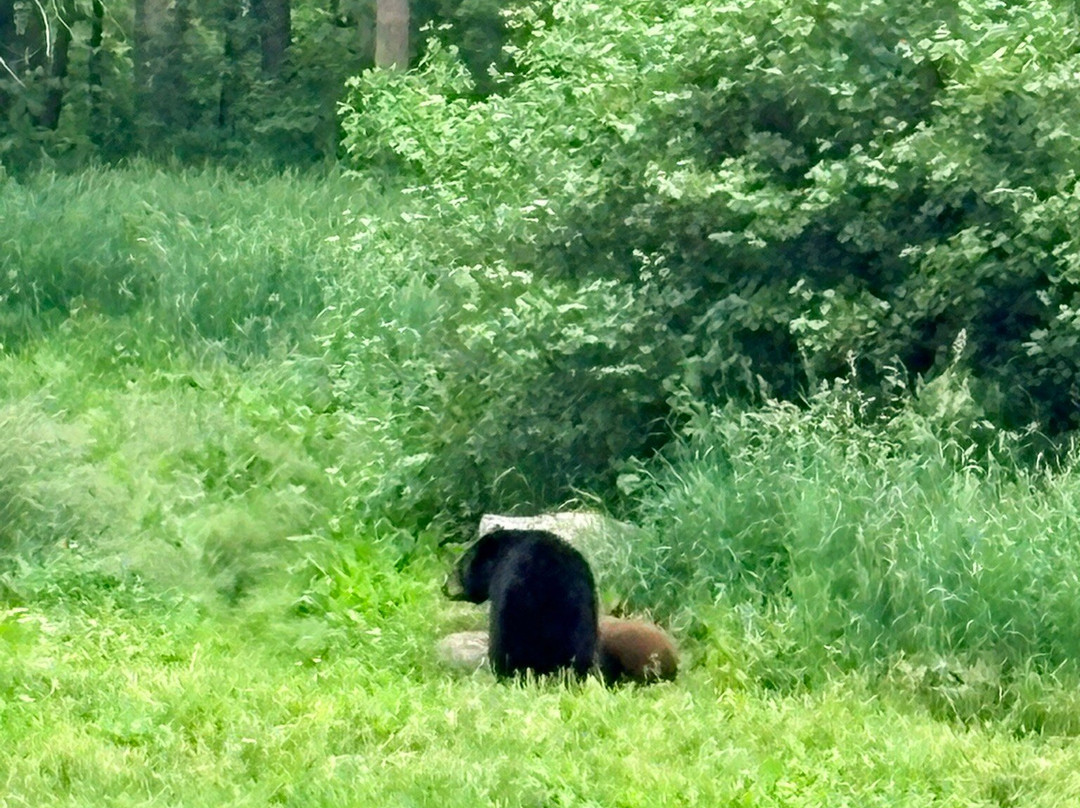 Vince Shute Wildlife Sanctuary-Orr必去景点