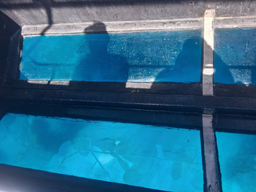 Glass Bottom Boat Trip-Pefkos必去景点