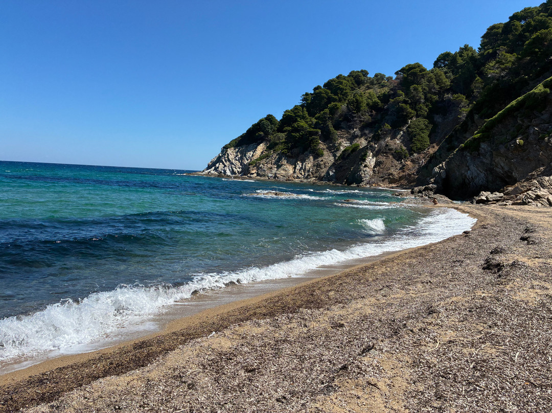 Megalos Aselinos Beach-斯亚索斯必去景点