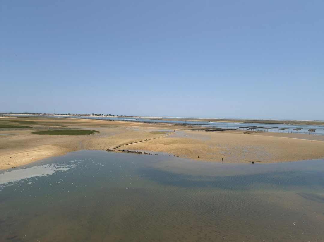 Ria Formosa Natural Park-奥良必去景点