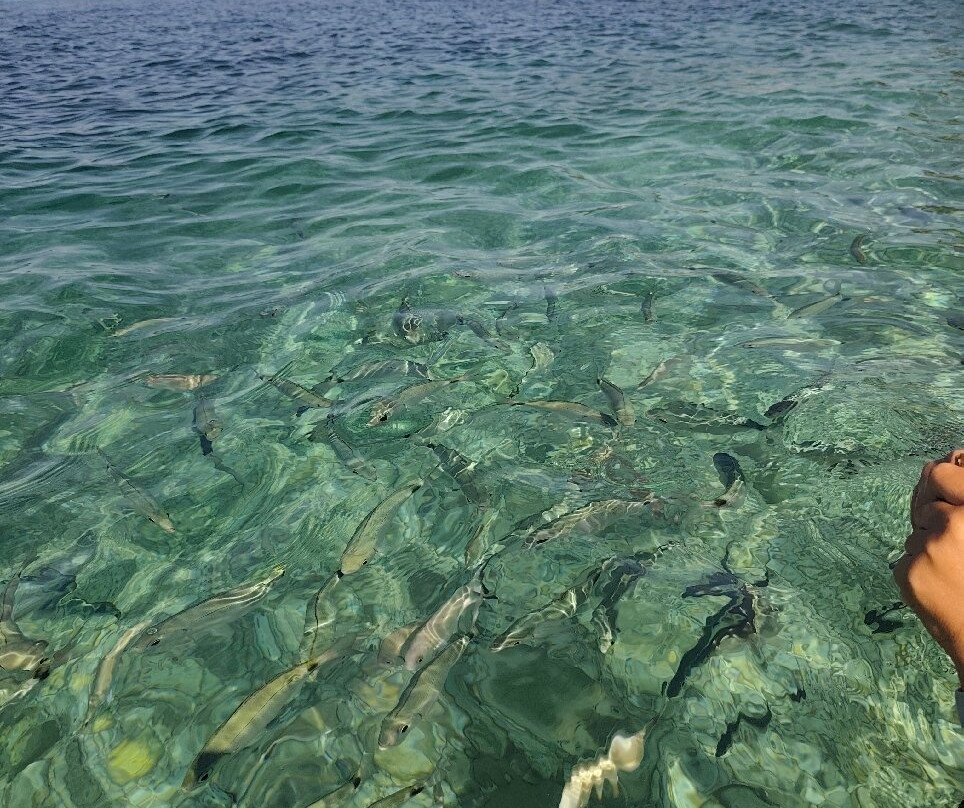 Spiaggia di Padulella-费拉约港必去景点