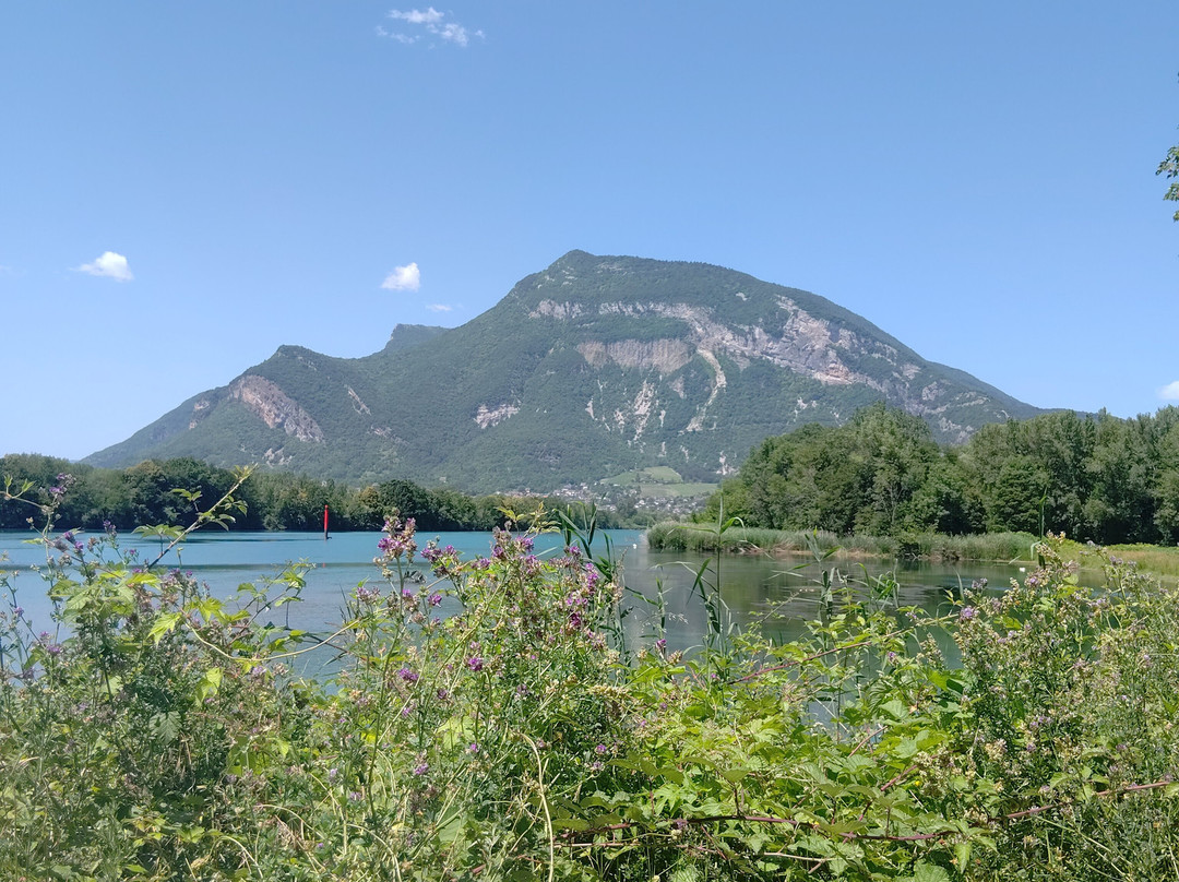 La Guinguette De L'étang Bleu