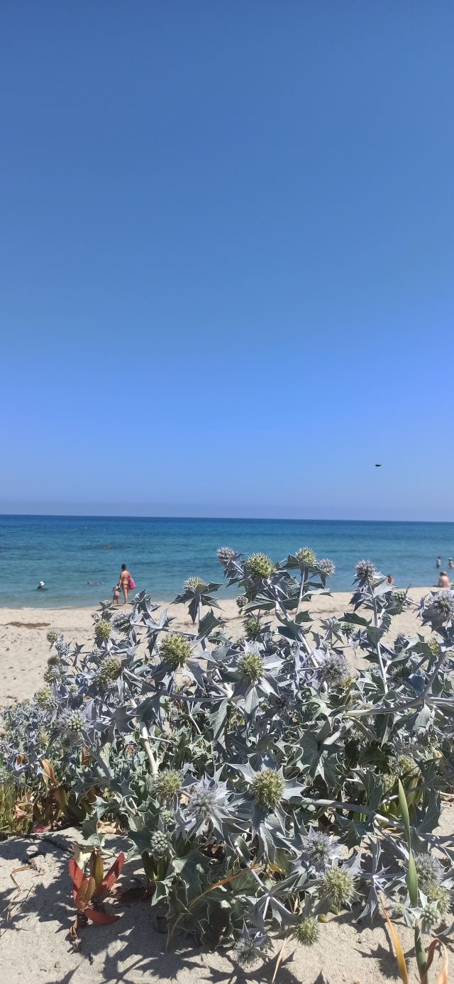 珍娜和马索尼酒店-旅行者