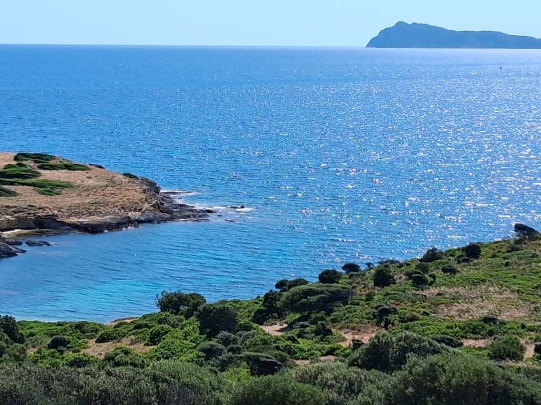 Pineta di Candiani