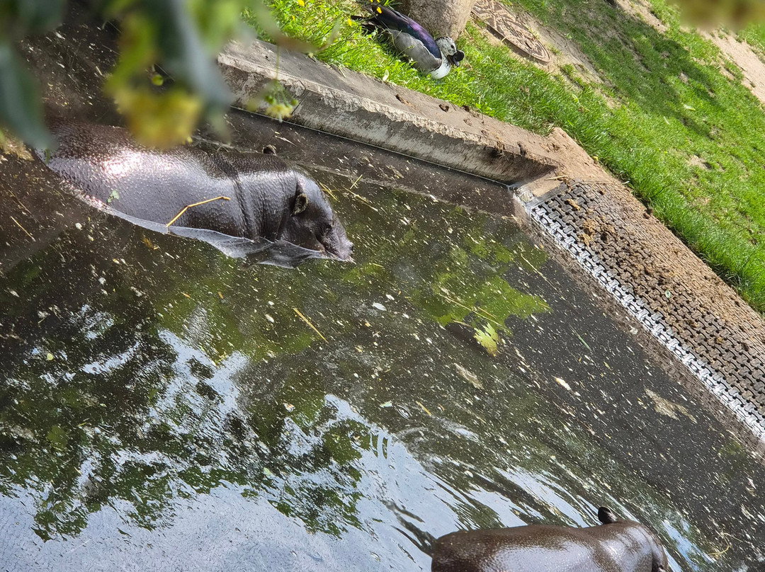 Orientarium Zoo Lodz-罗兹必去景点