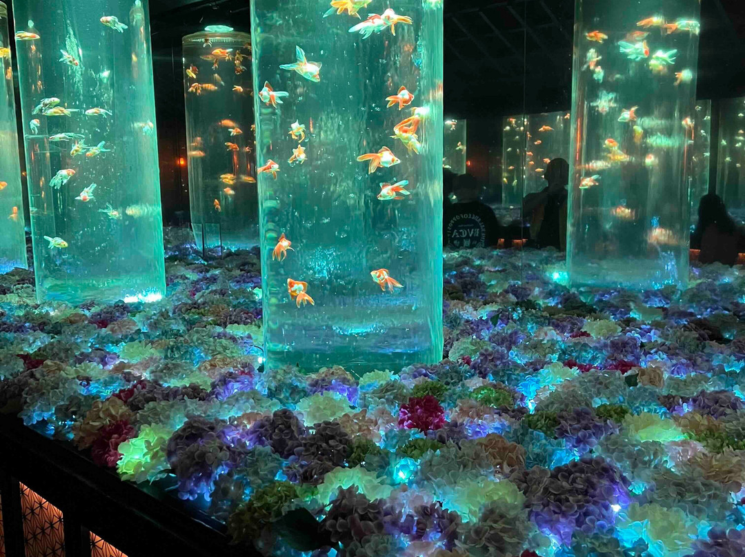 Art Aquarium-Ginza必去景点