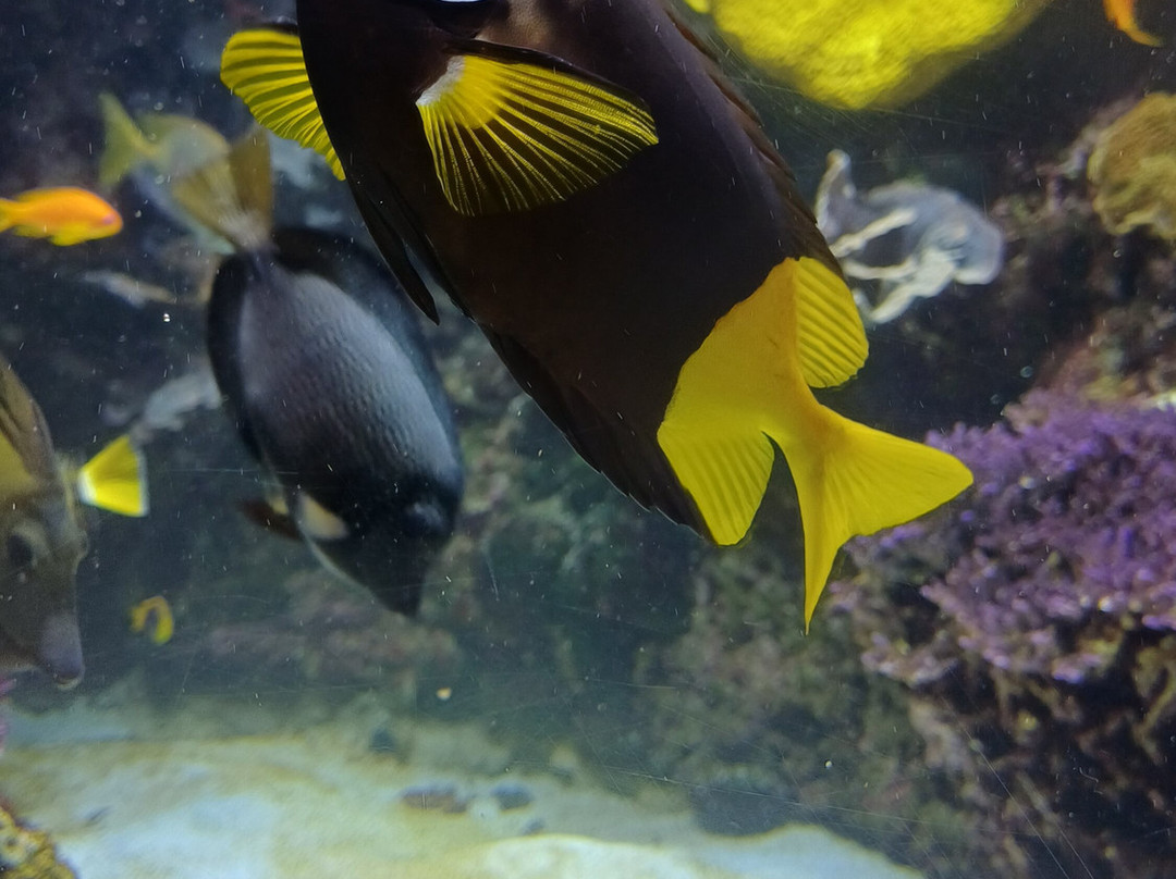 Aquarium La Rochelle-拉罗谢尔必去景点