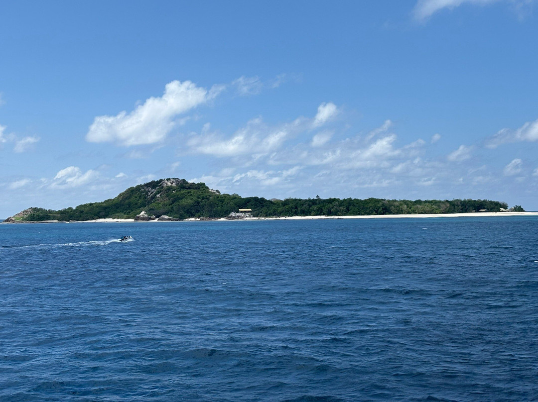 Cousin Island Special Reserve-Cousin Island必去景点