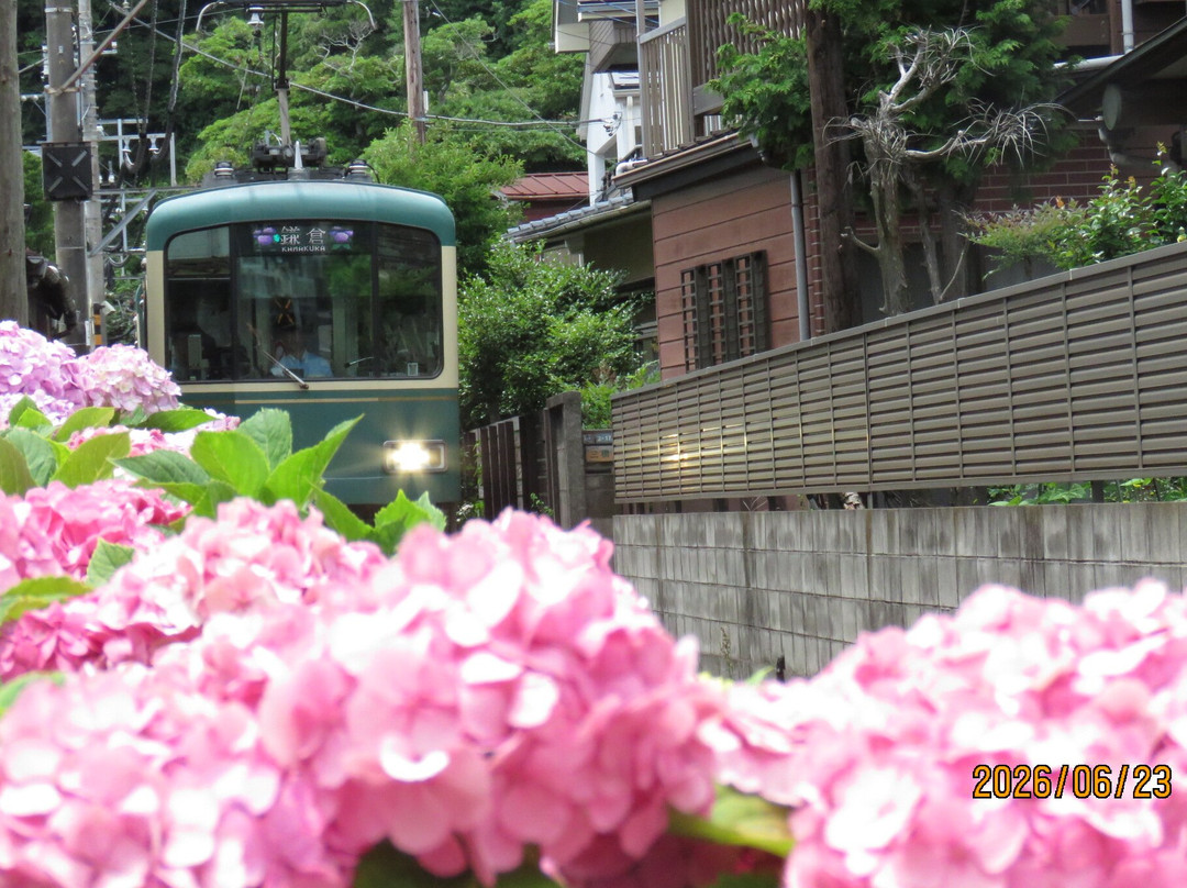 Goryo Shrine-镰仓市必去景点