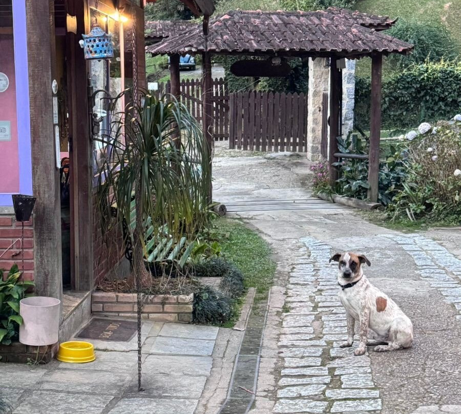 莫里亚旅馆主图