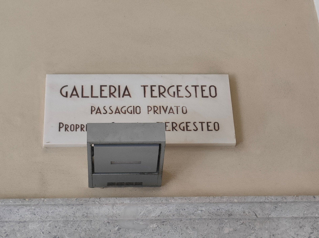 Galleria Del Tergesteo