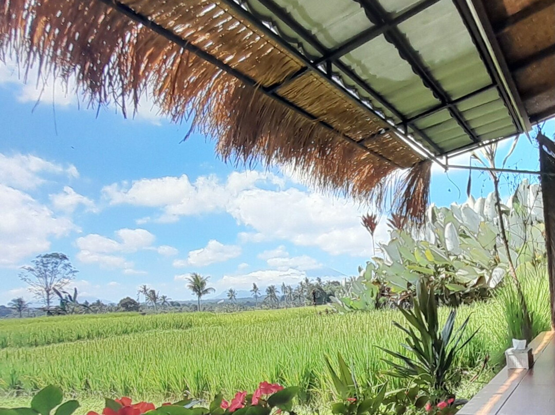 Uma Sari D'warung