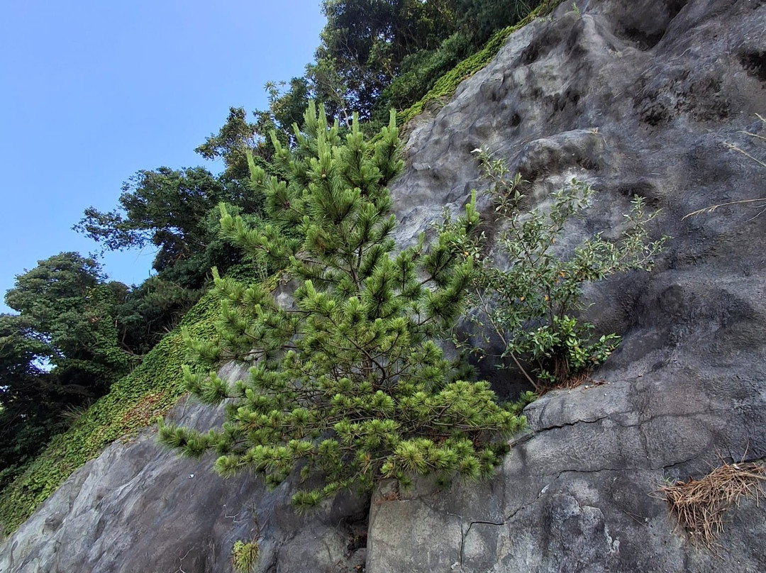 鳴門公園-鸣门市必去景点