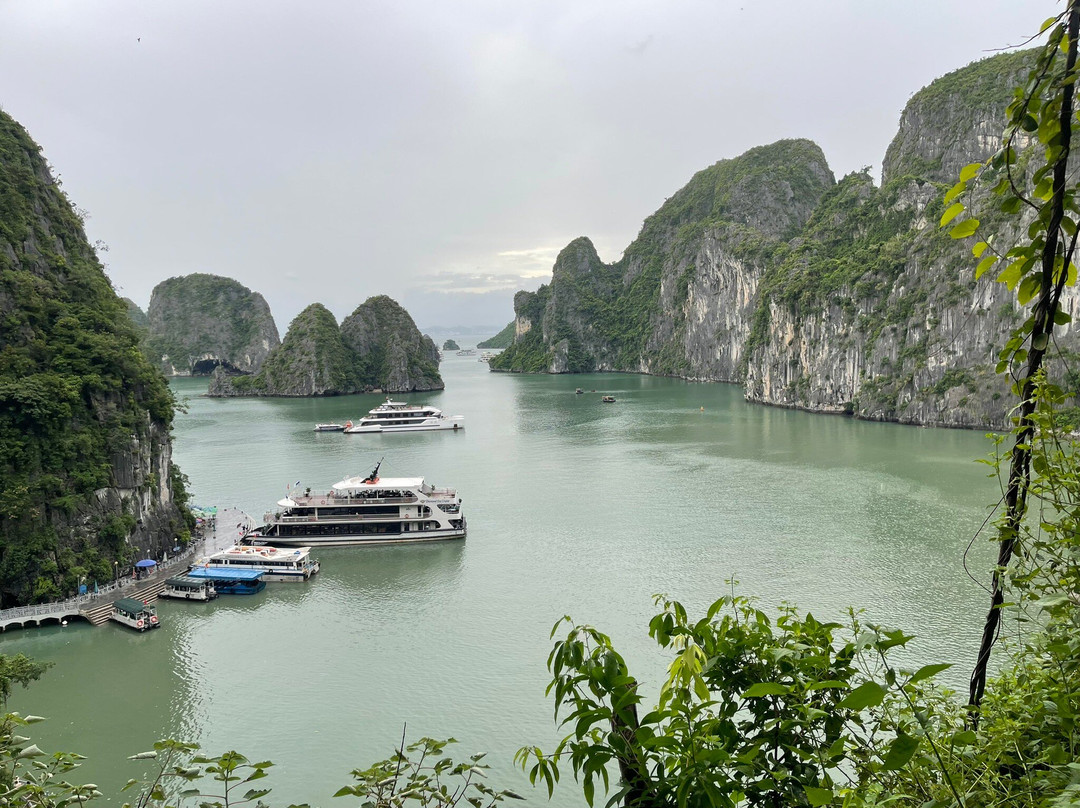 Victory Star Cruise-下龙湾必去景点