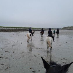 Moycullen Riding Centre-Moycullen必去景点