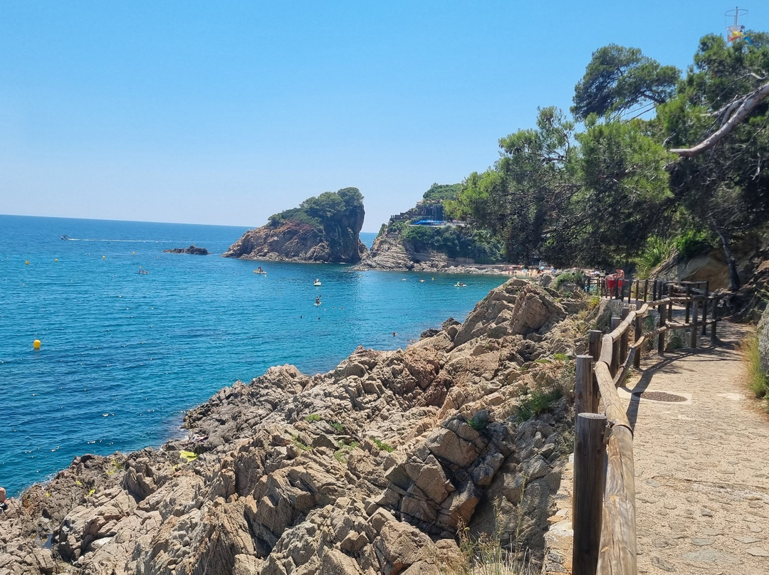 Cala de Sant Francesc-布拉内斯必去景点