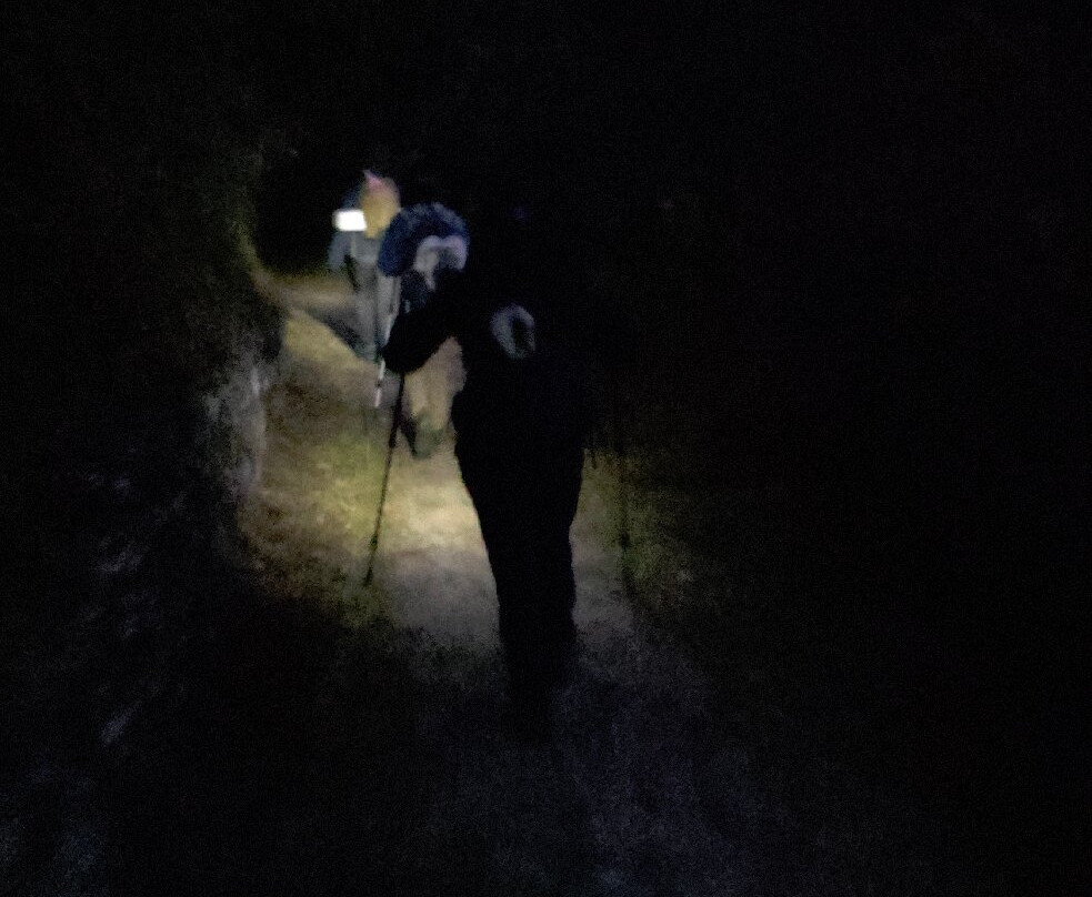 Alpaca Expeditions-库斯科必去景点