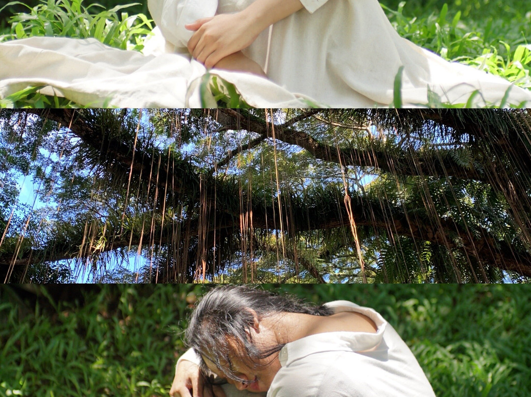 De Djawatan Forest-巴纽旺宣必去景点