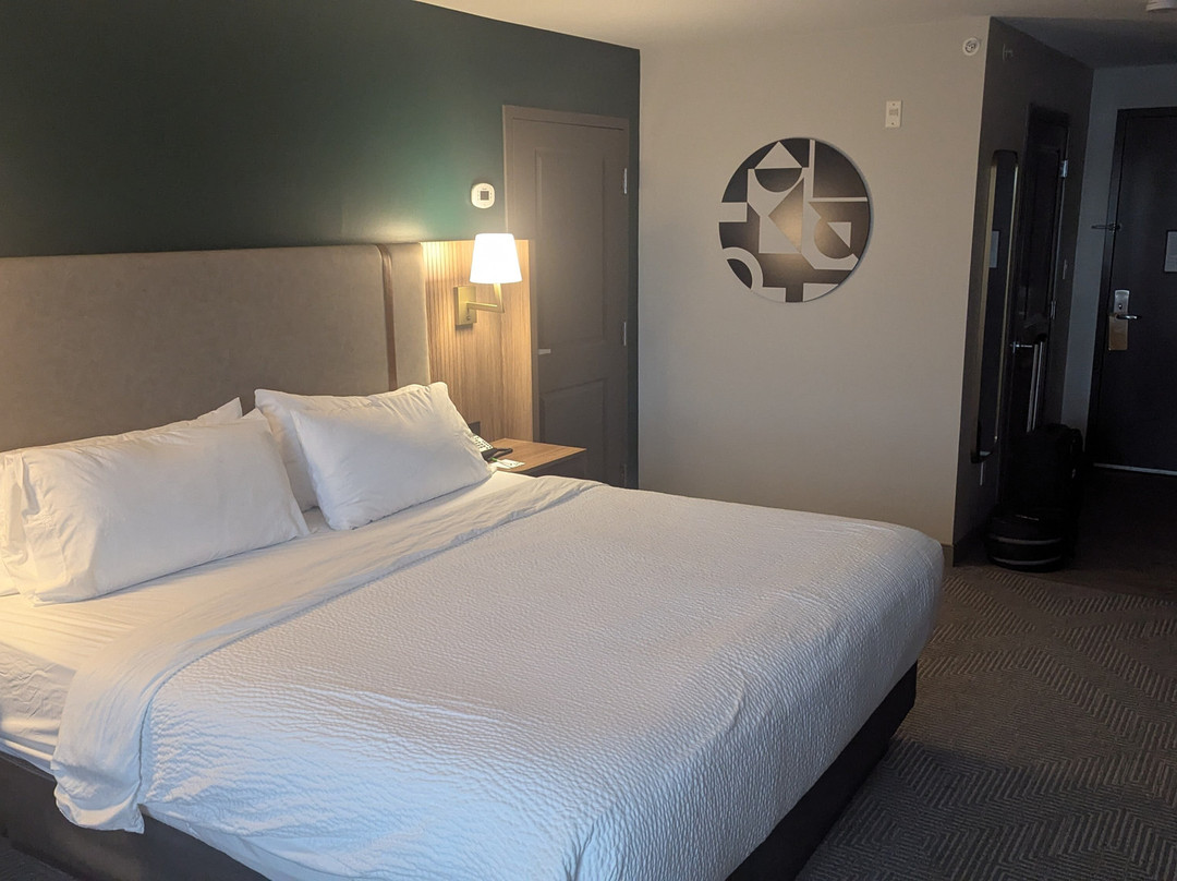 Holiday Inn & Suites 萨里东 - 克洛弗代尔主图