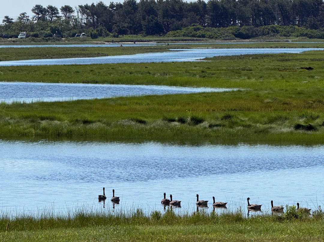 Ogunquit River Inn & Suites主图