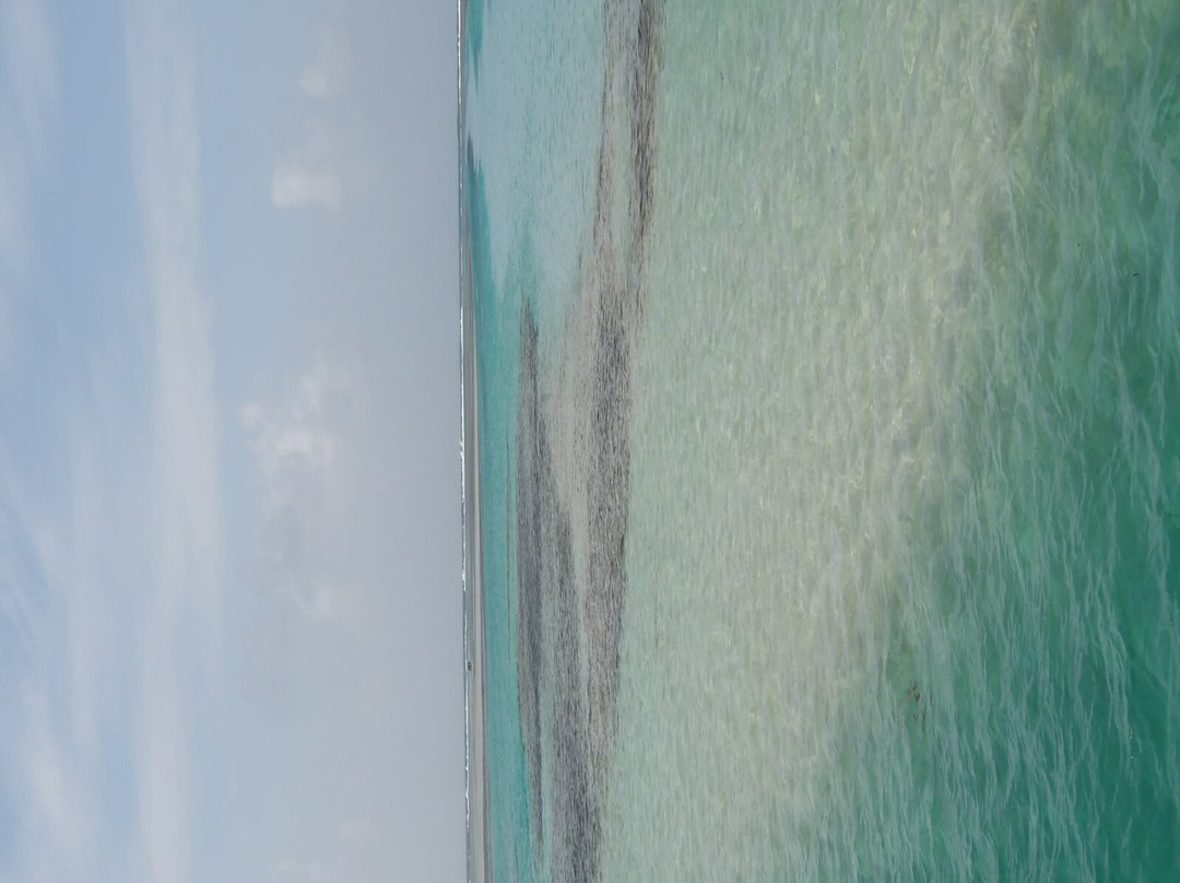 Catamaran Adventures San Blas-埃尔波韦尼尔必去景点
