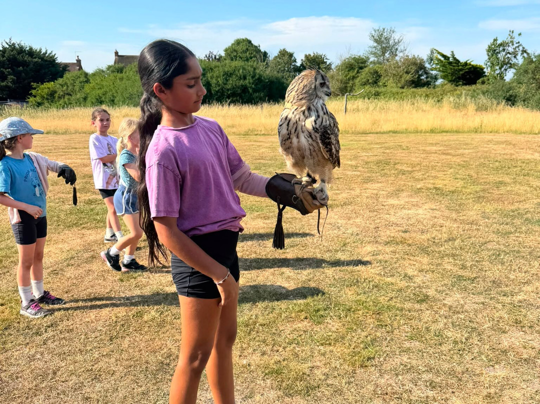 Feathers and Fur Falconry Centre-布拉克内尔必去景点