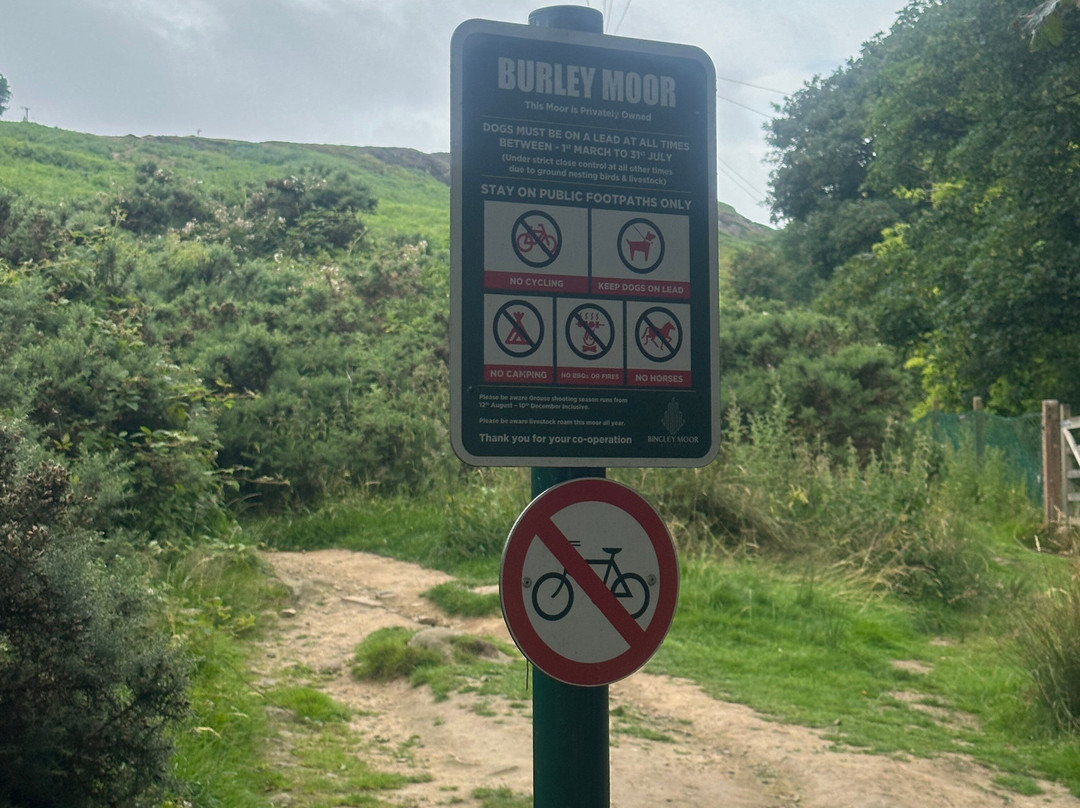 Ilkley Moor-伊尔克利必去景点