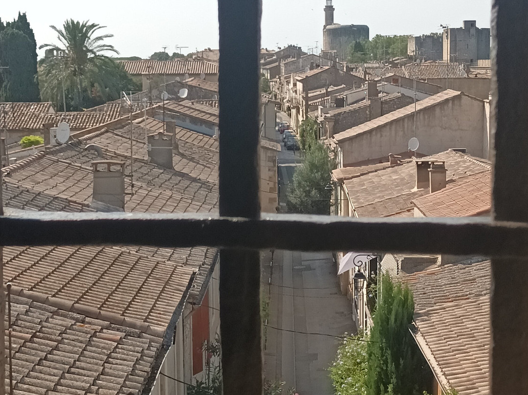 Towers and Ramparts of Aigues-Mortes-艾格莫尔特必去景点