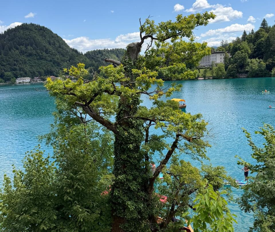 布莱德湖-布莱德必去景点