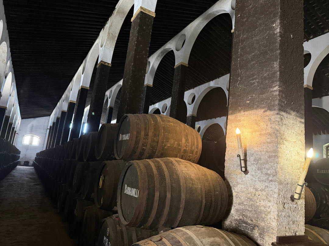 Bodegas Barbadillo-Sanlucar de Barrameda必去景点