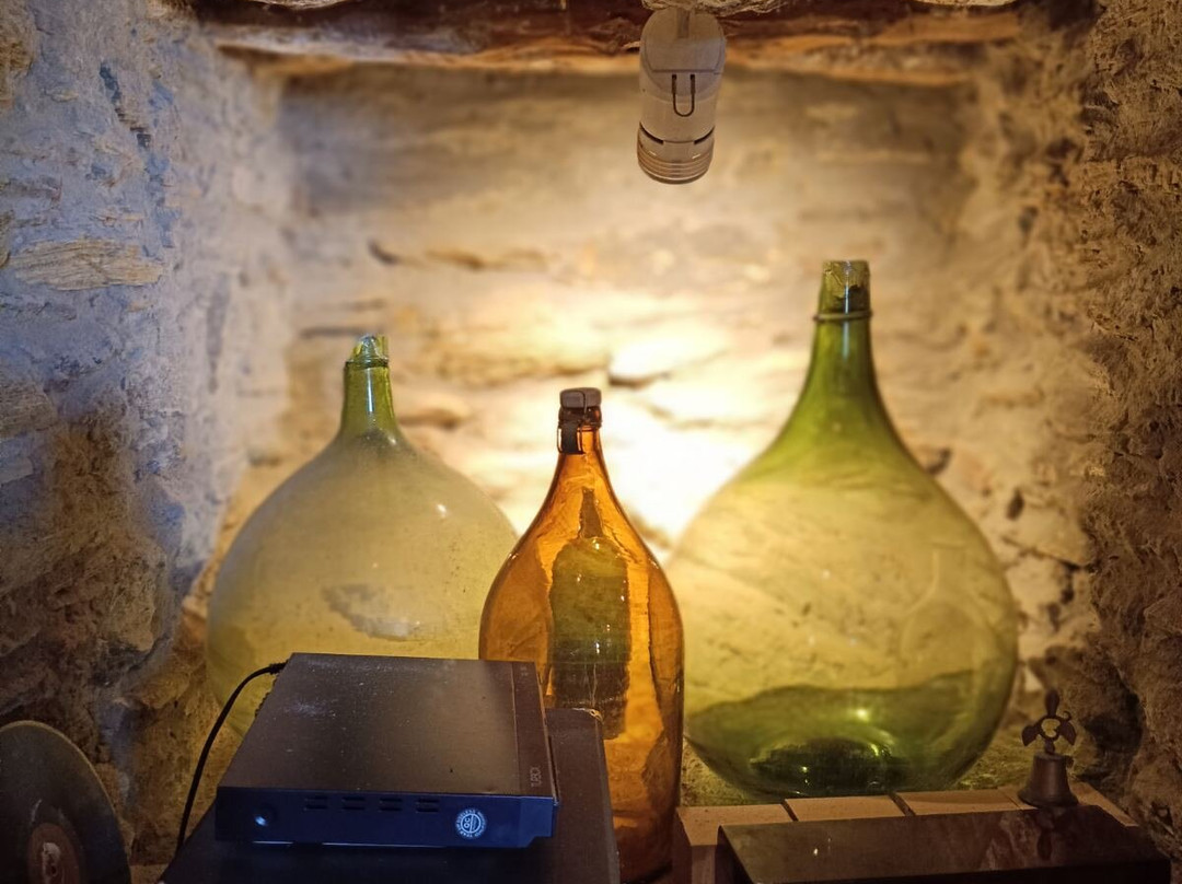 Cyclades Olive Museum-Pitrofos必去景点