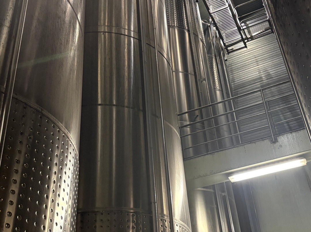 Cave Vinicole de Cleebourg-Rott必去景点