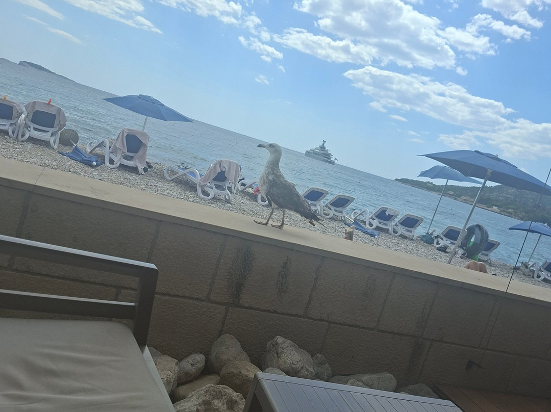 阿斯塔雷酒店主图