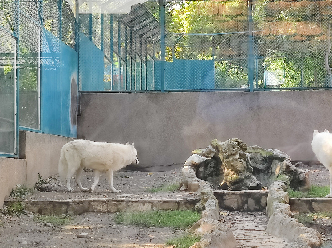 Belgrade Zoo-贝尔格莱德必去景点