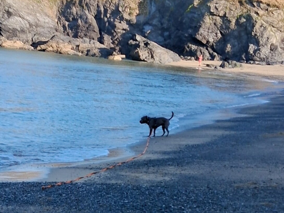 Mullion Cove Coastal Retreat