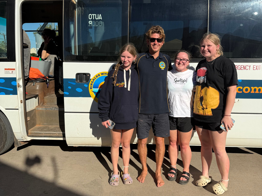 Ningaloo Whaleshark Swim-埃克斯茅斯必去景点