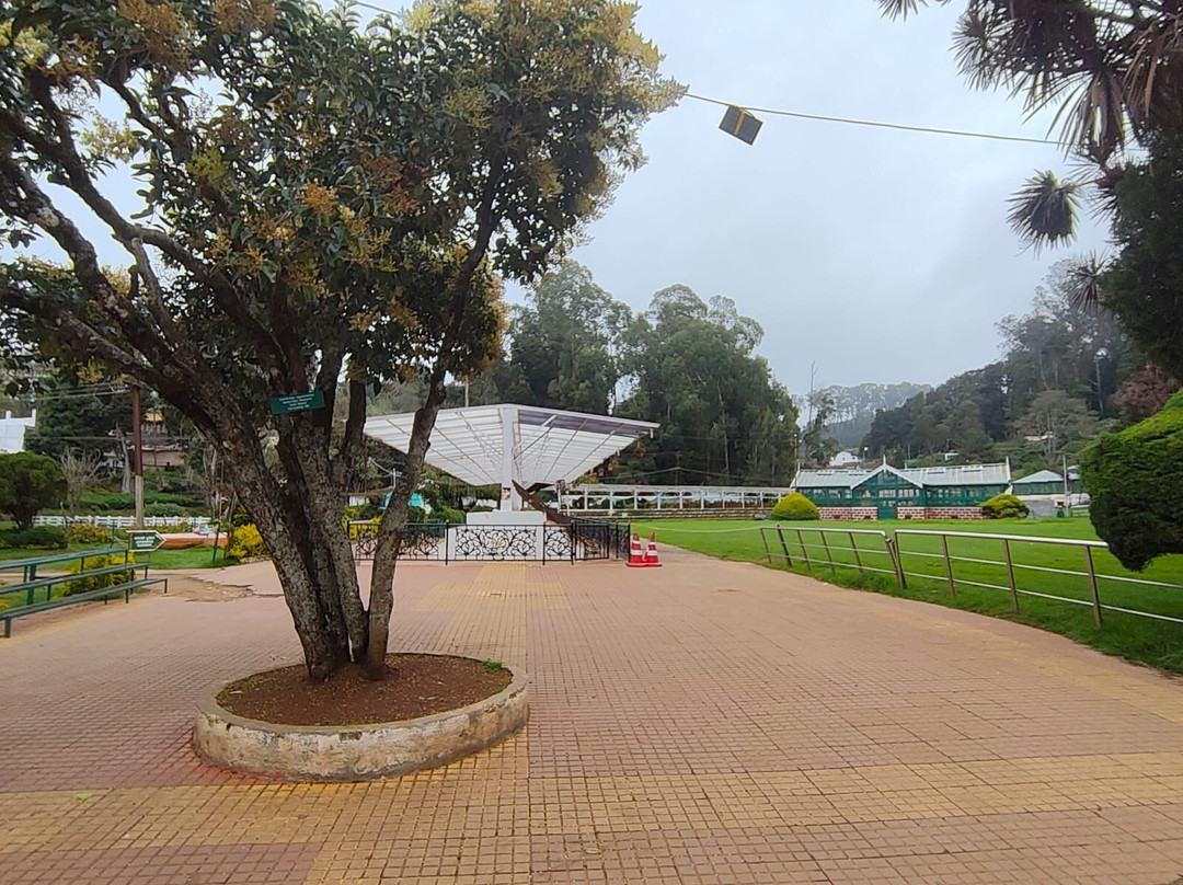 Government Botanical Garden-The Nilgiris District必去景点