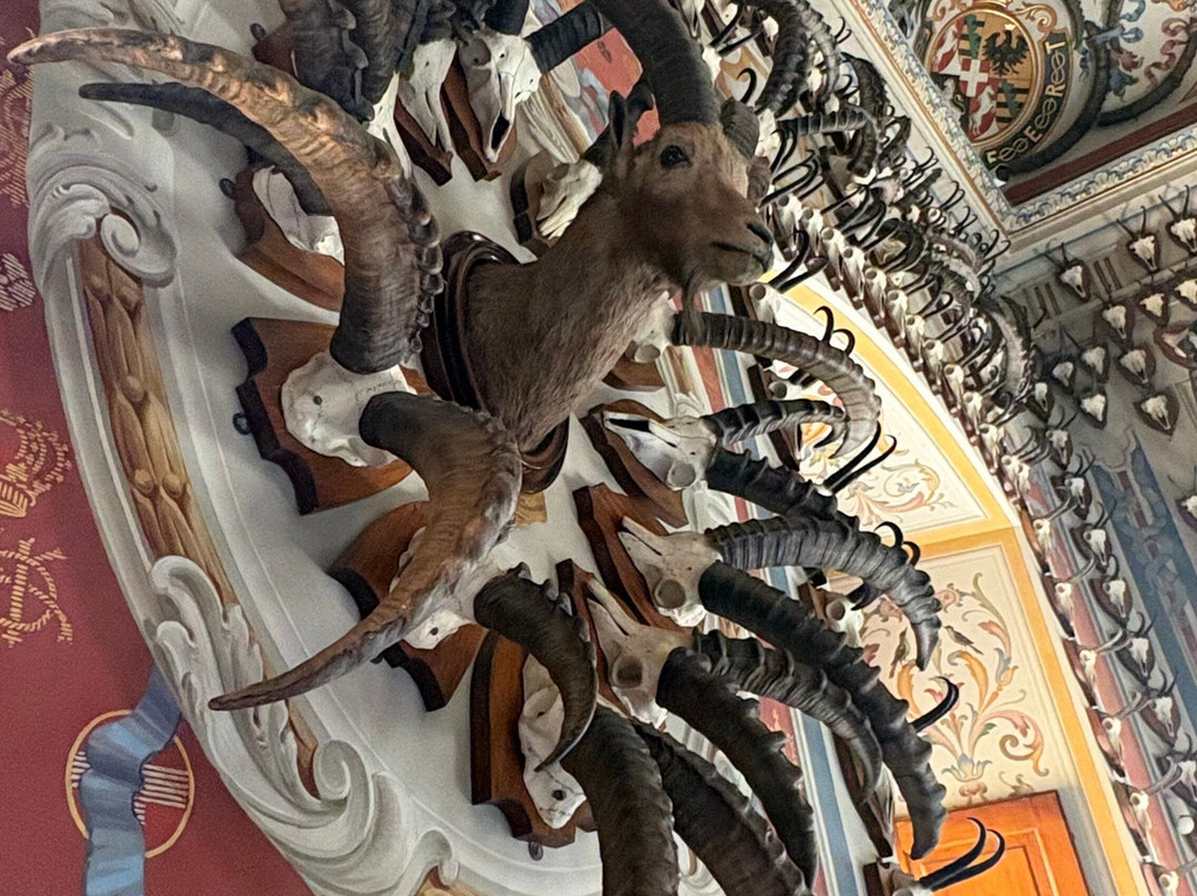 Castello Reale di Sarre-Sarre必去景点