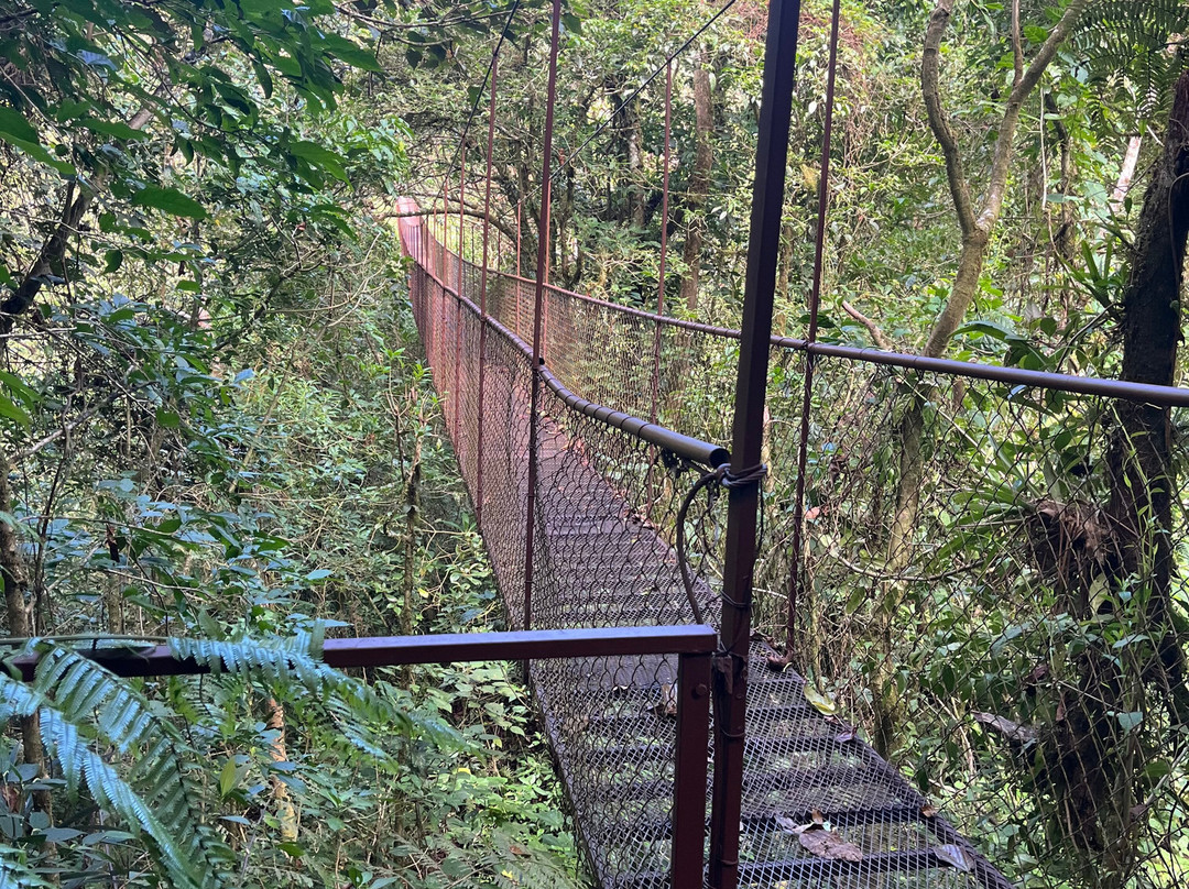 Tree Trek Boquete-波魁特必去景点