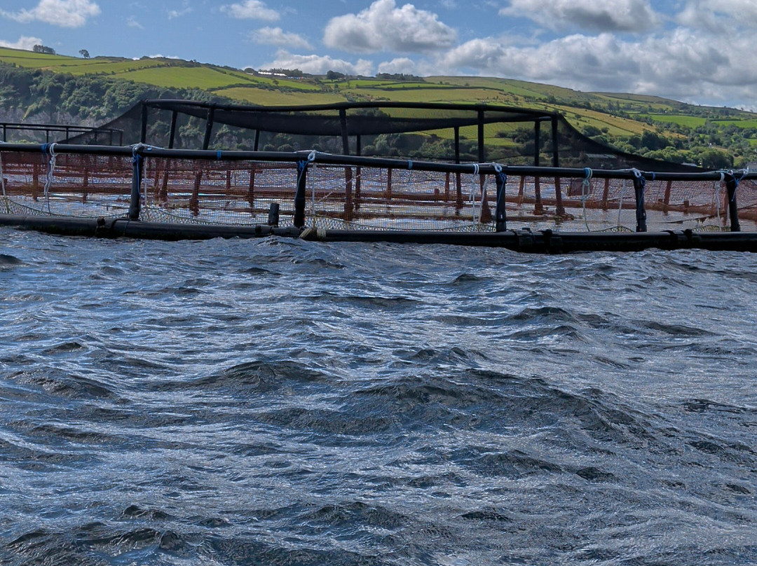 Carnlough Bay Boat Tours-Carnlough必去景点