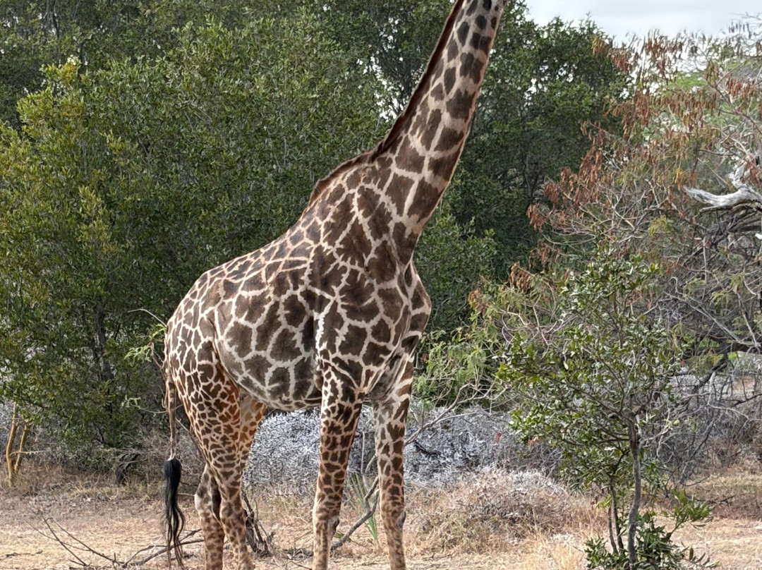 GoSmart Zanzibar Tours & Safari-Kiembi Samaki必去景点