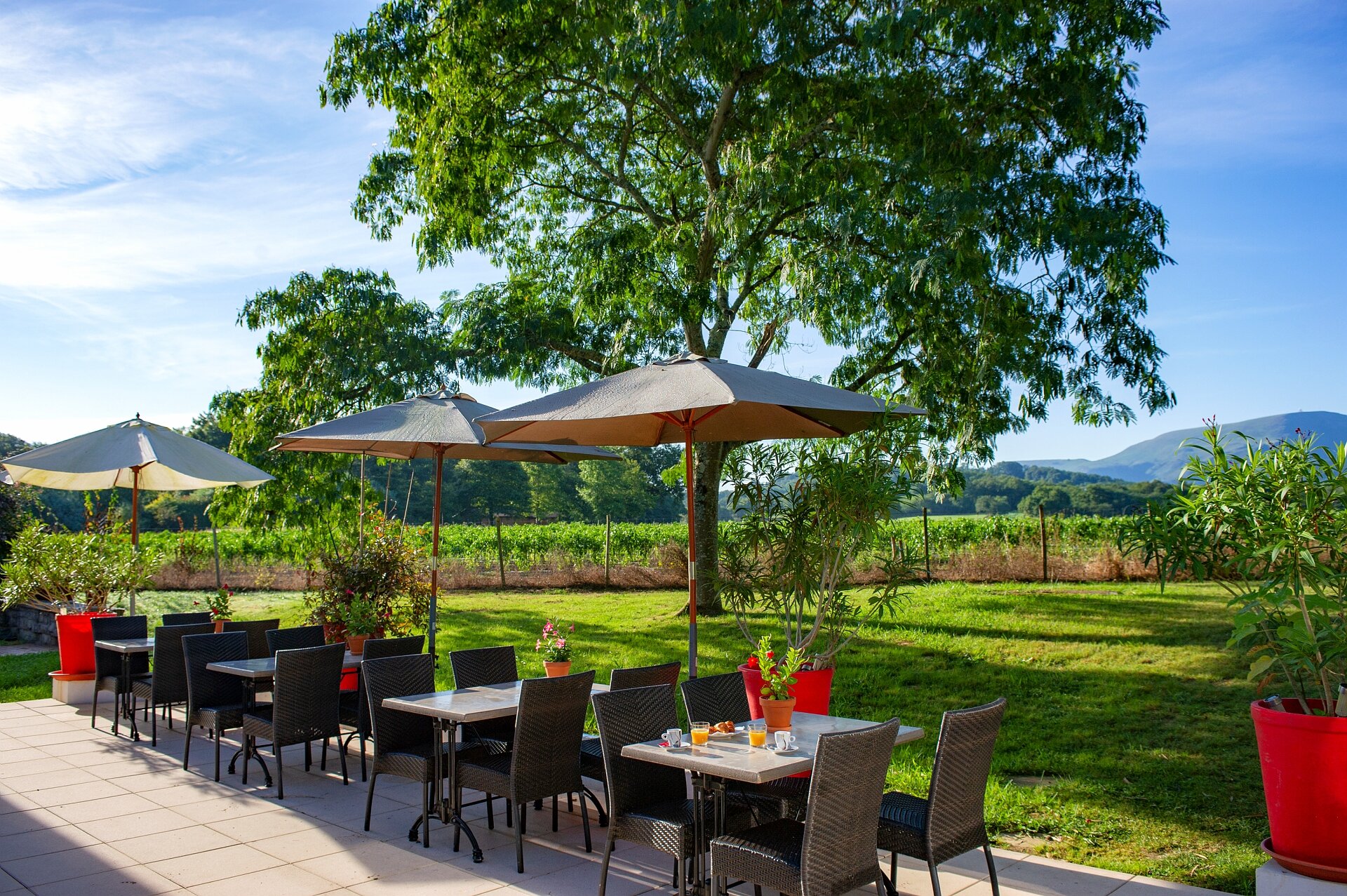 Village Club Mileade Cambo-les-Bains-餐饮