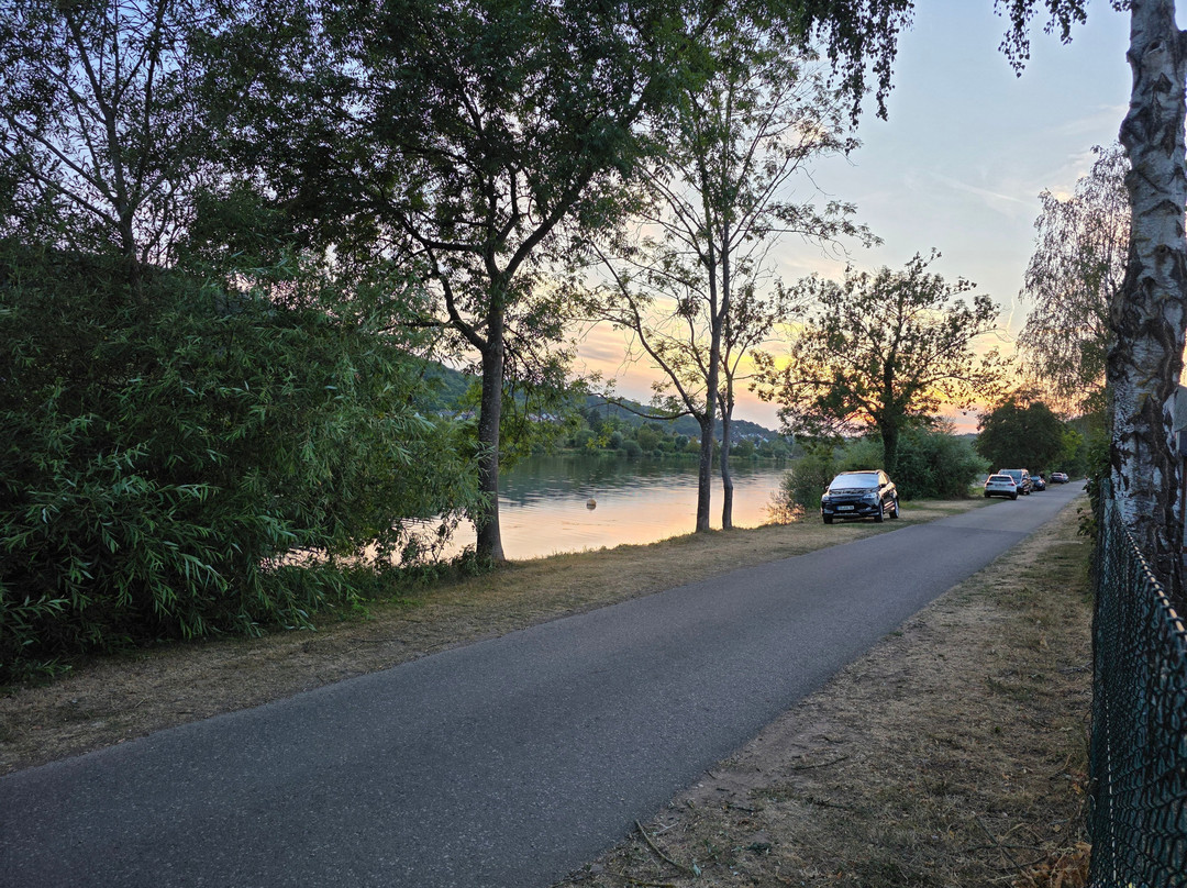 Campingschänke Igel