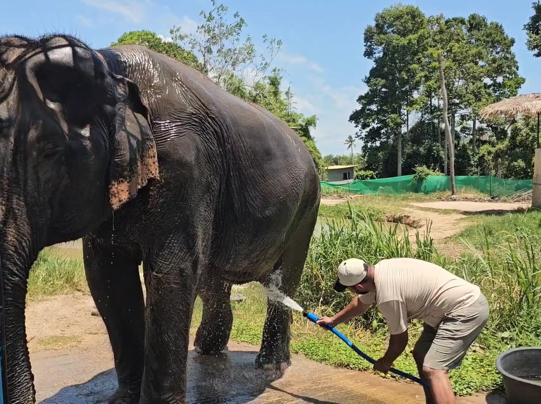 I Love Elephant Samui-Na Mueang必去景点