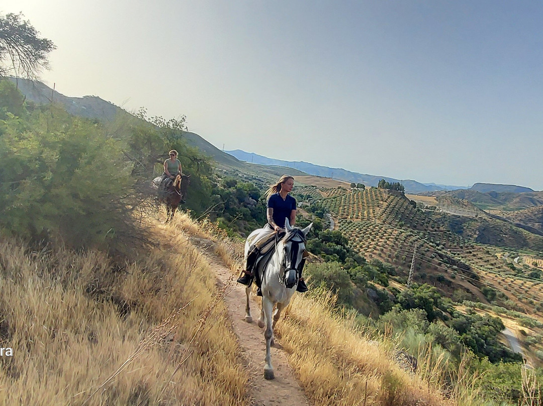 Horse Riding El Chorro-El Chorro必去景点
