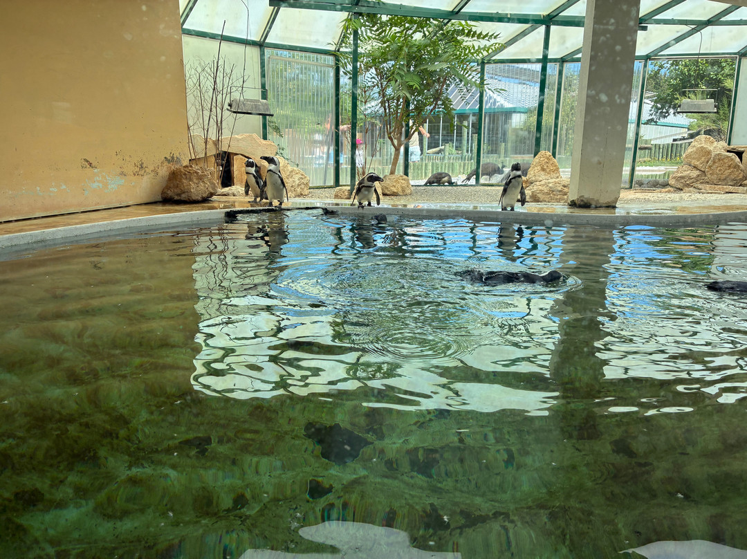 Tropiquarium de Servion-Servion必去景点