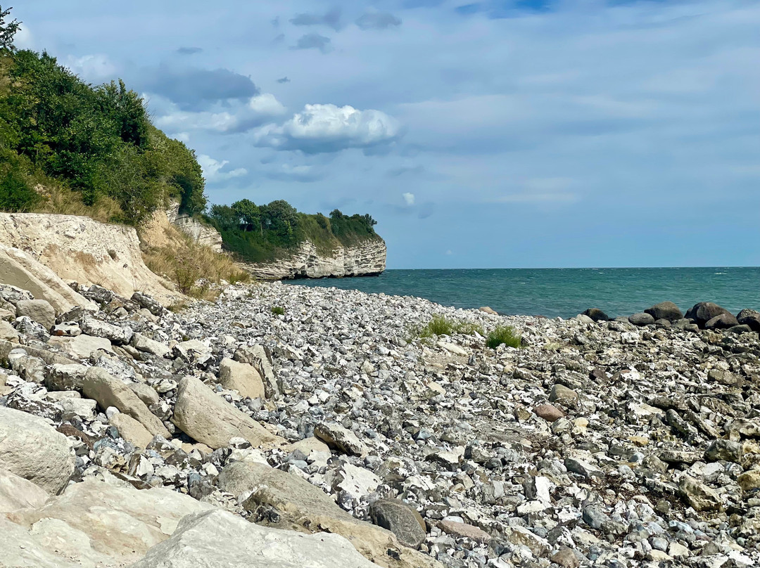 Stevns Klint Experience-Roedvig必去景点